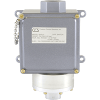 CCS Differential Pressure Switch, 604D